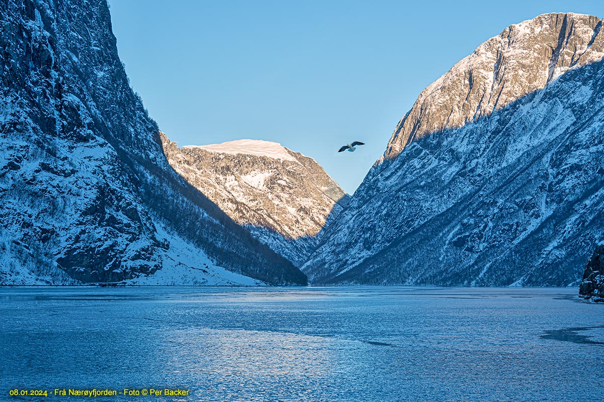 Frå Nærøyfjorden