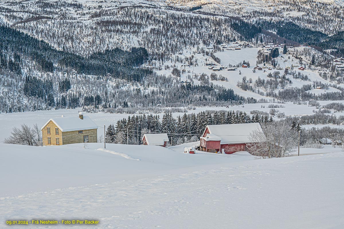 Frå Nesheim