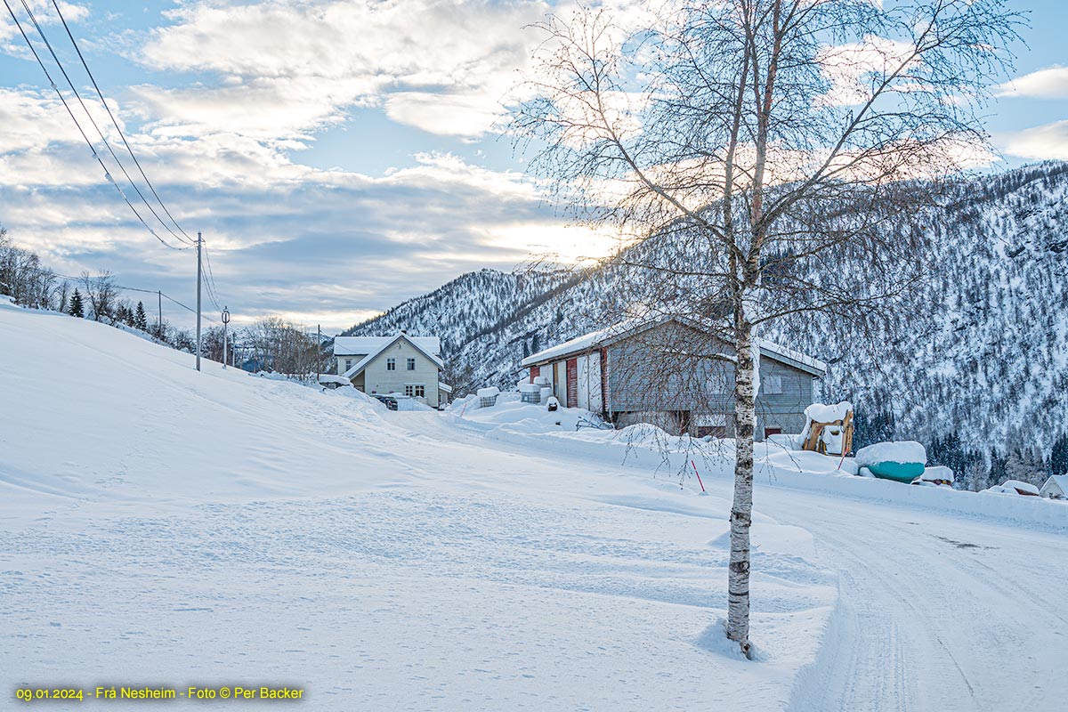 Frå Nesheim