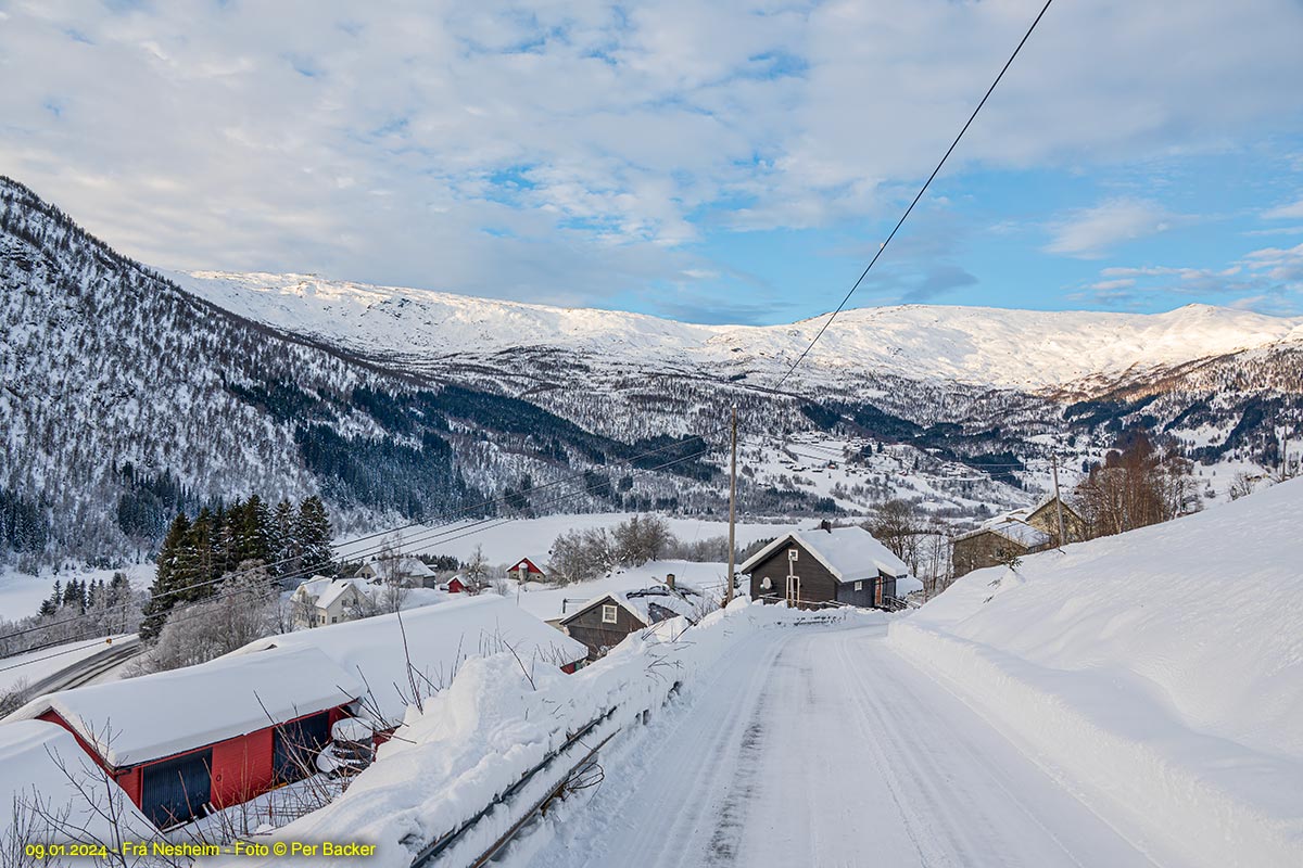 Frå Nesheim