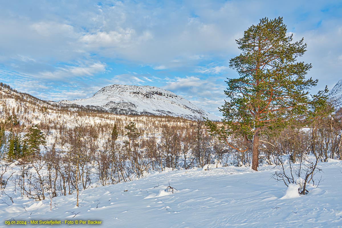 Svolefjellet