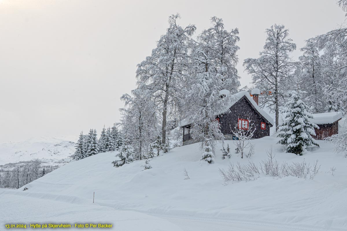 Hytte på Skjervheim