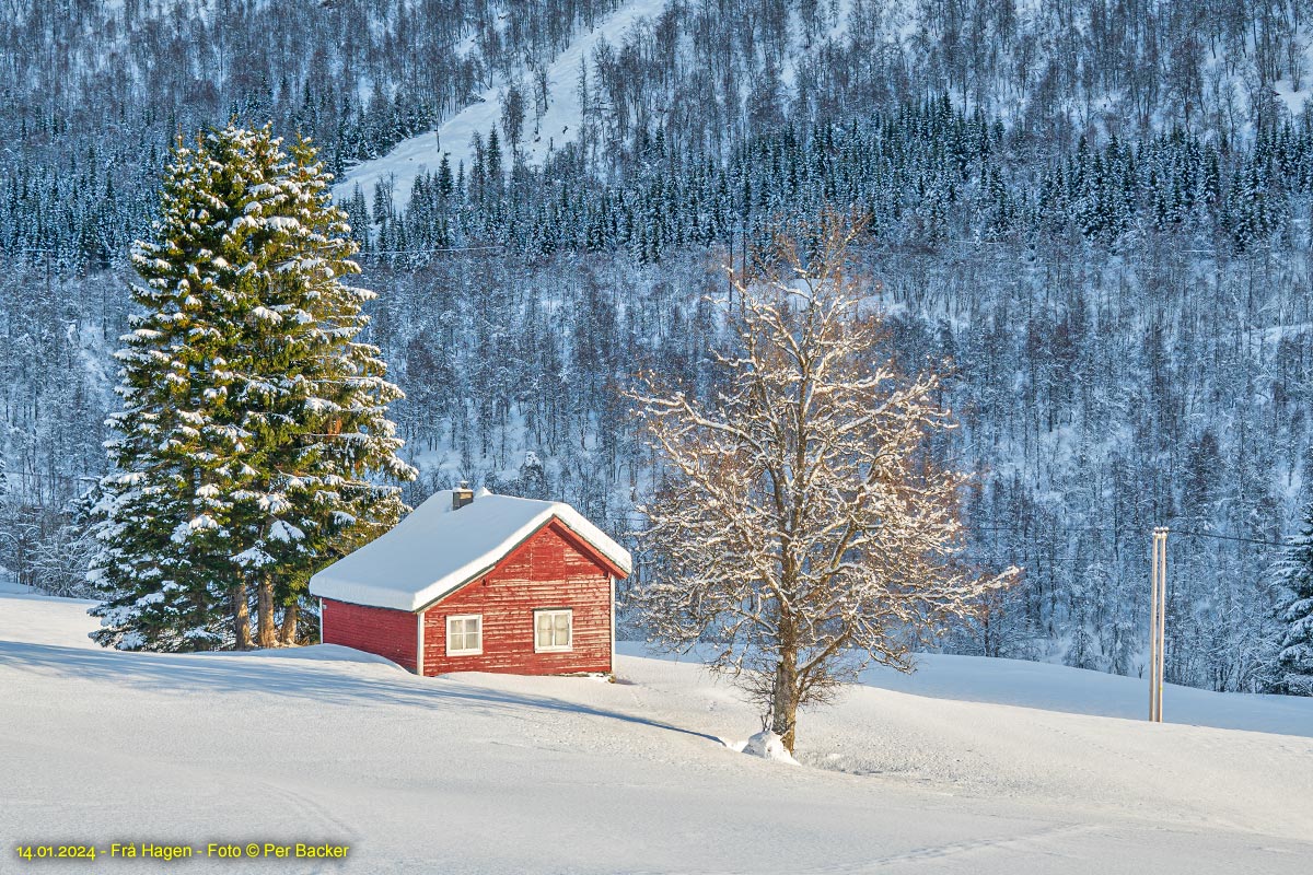 Frå Hagen