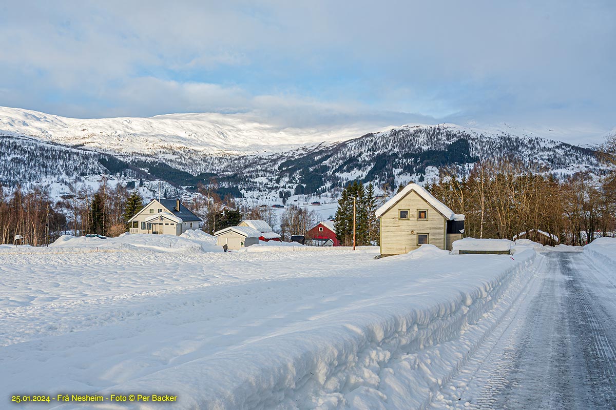 Frå Nesheim