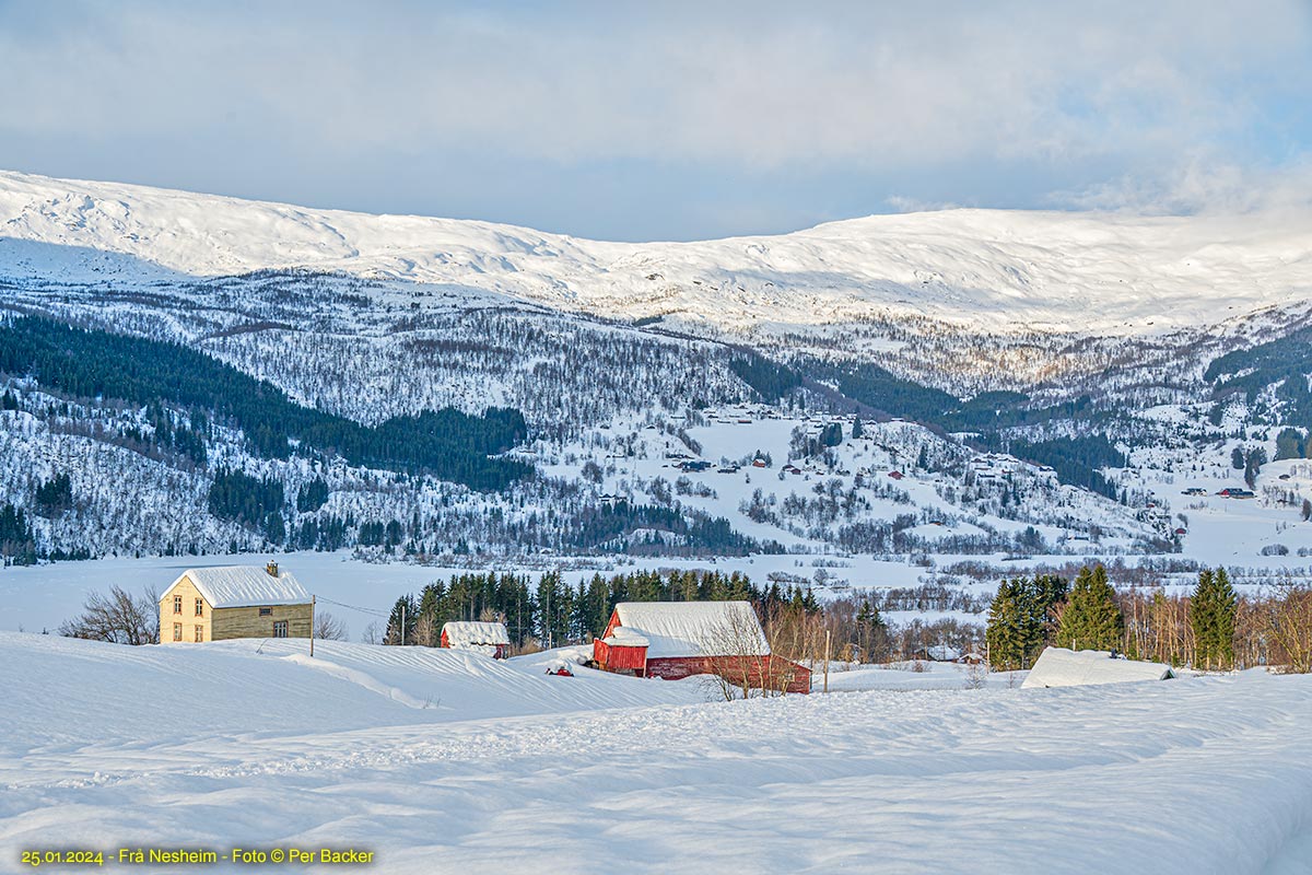 Frå Nesheim