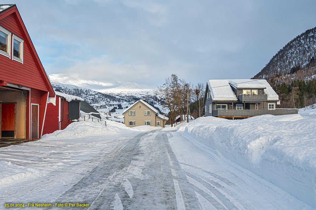 Frå Nesheim