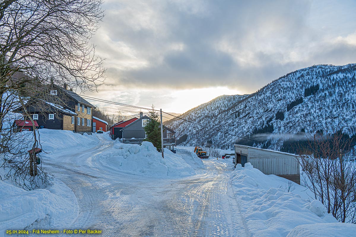 Frå Nesheim