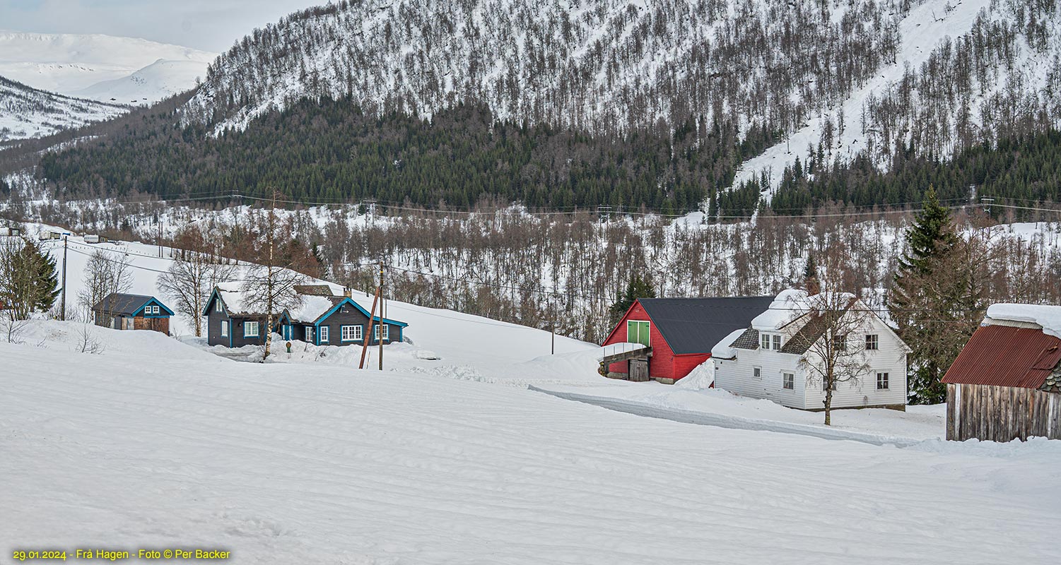 Frå Hagen