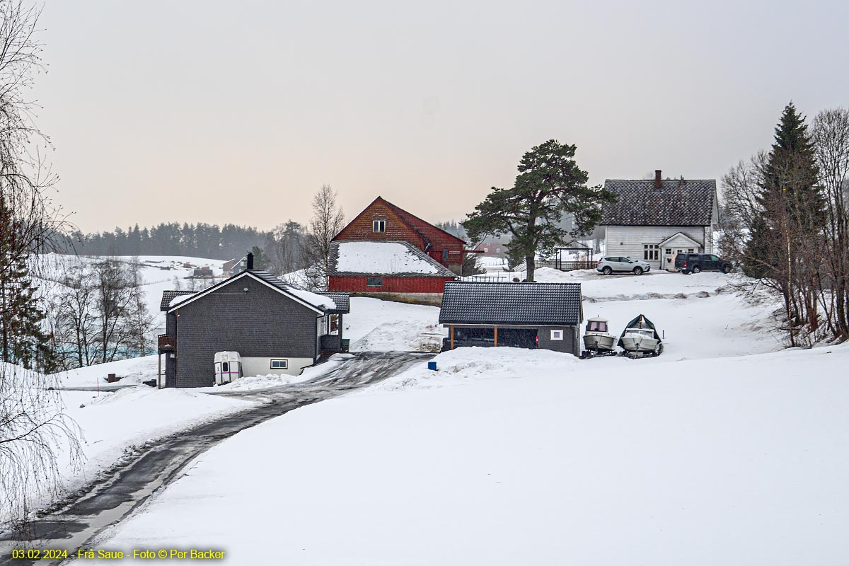 Frå Saue