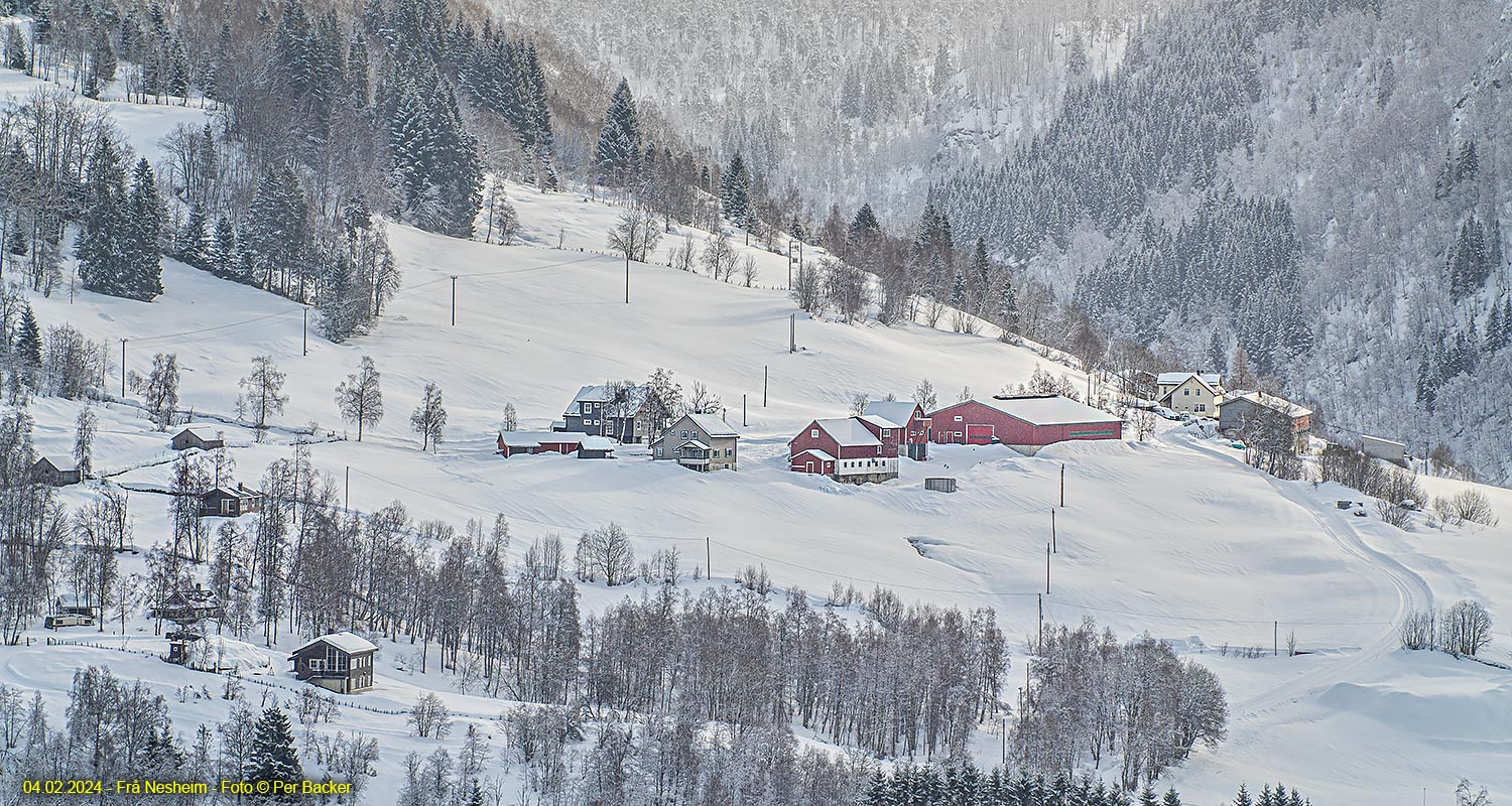 Frå Nesheim