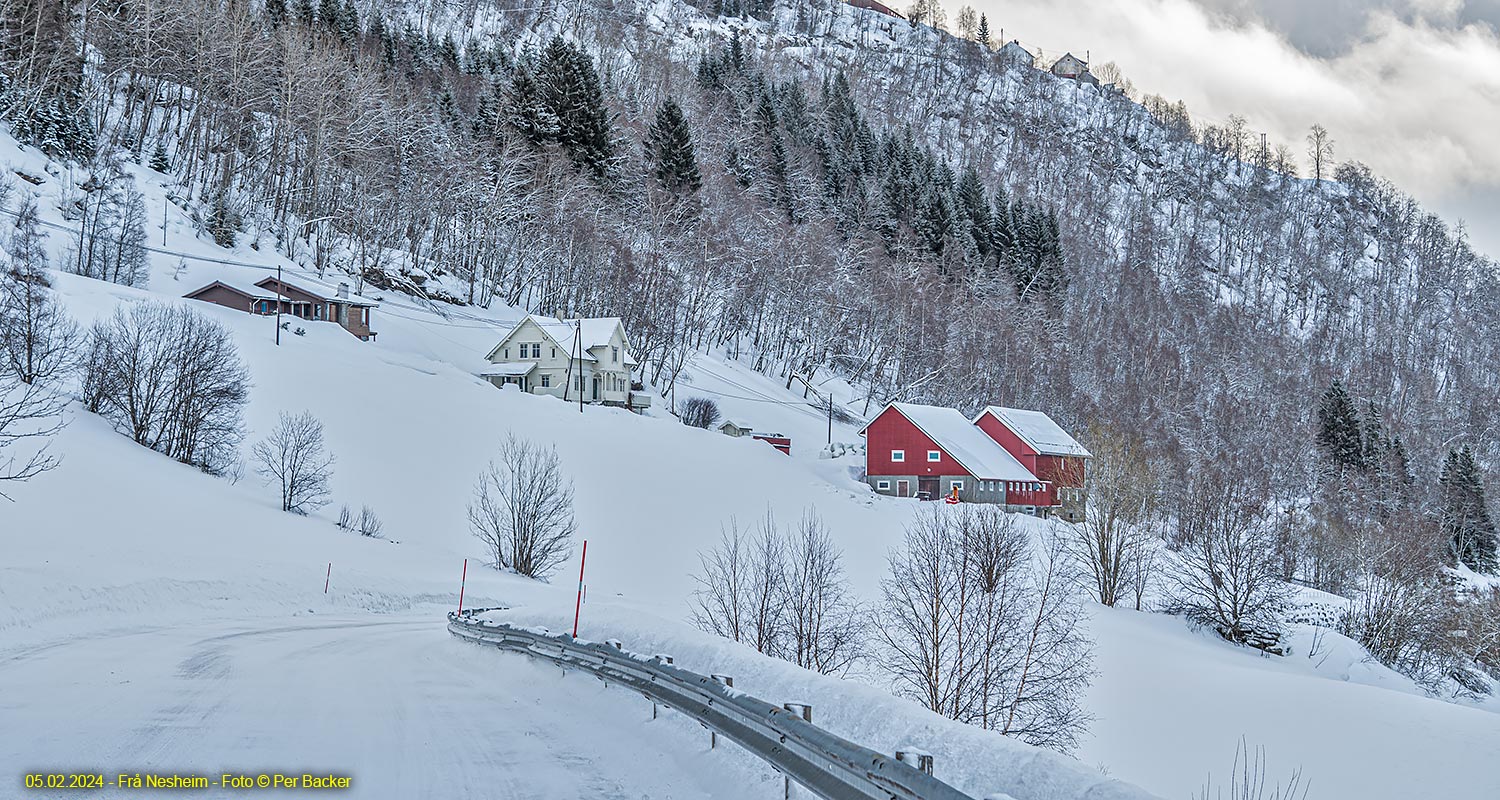 Frå Nesheim