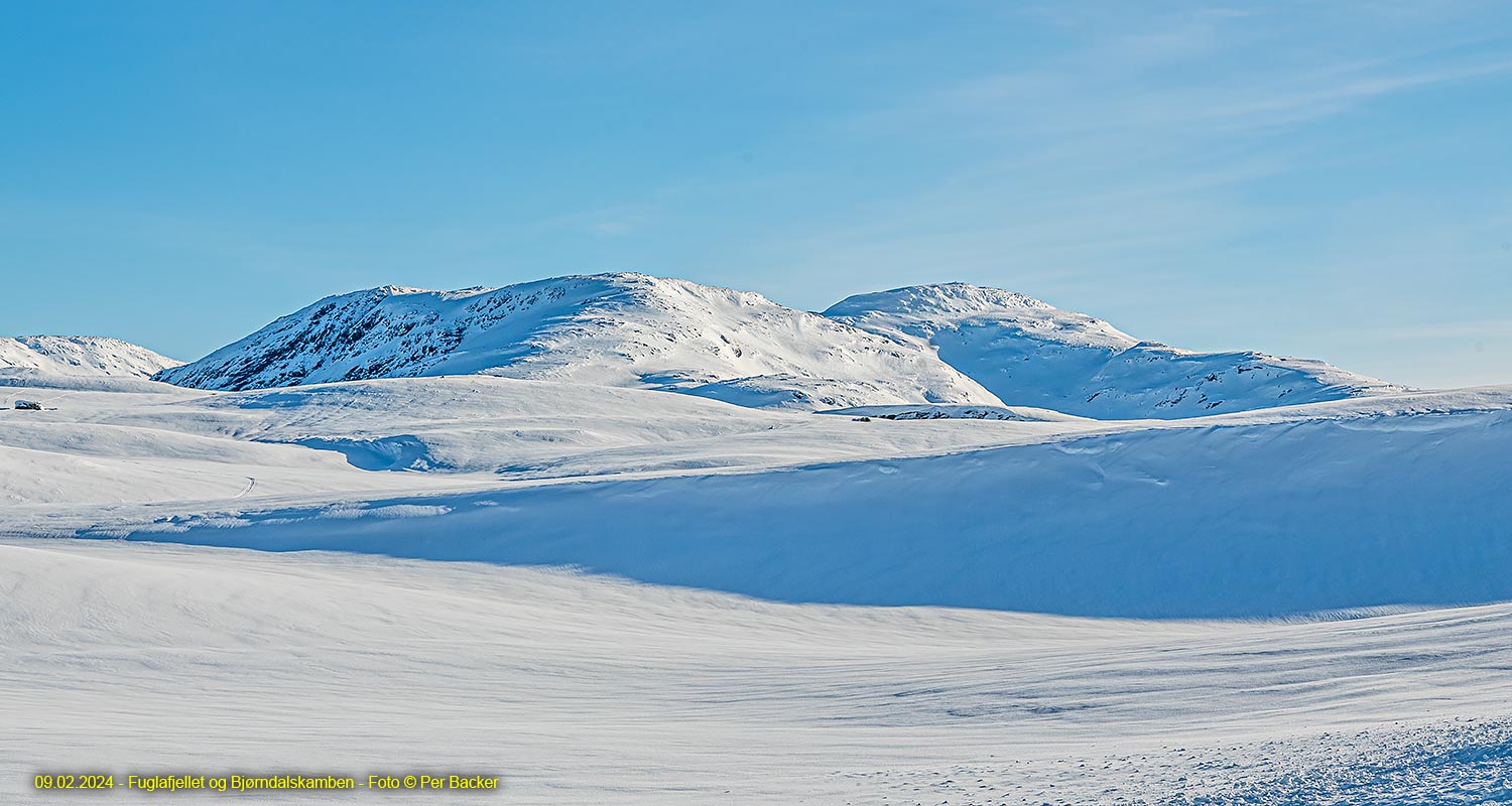 Fuglafjellet og Bjørndalskamben