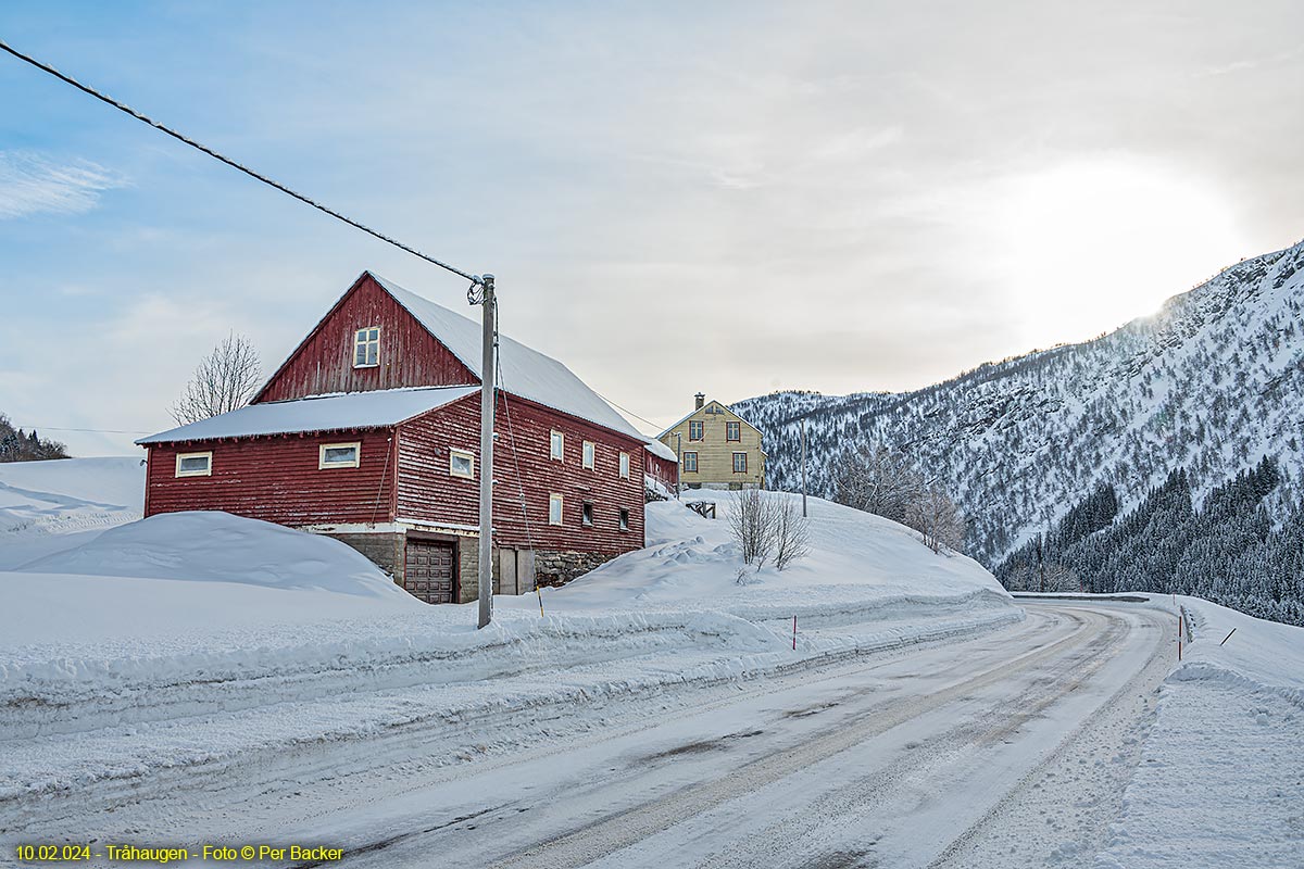 Tråhaugen