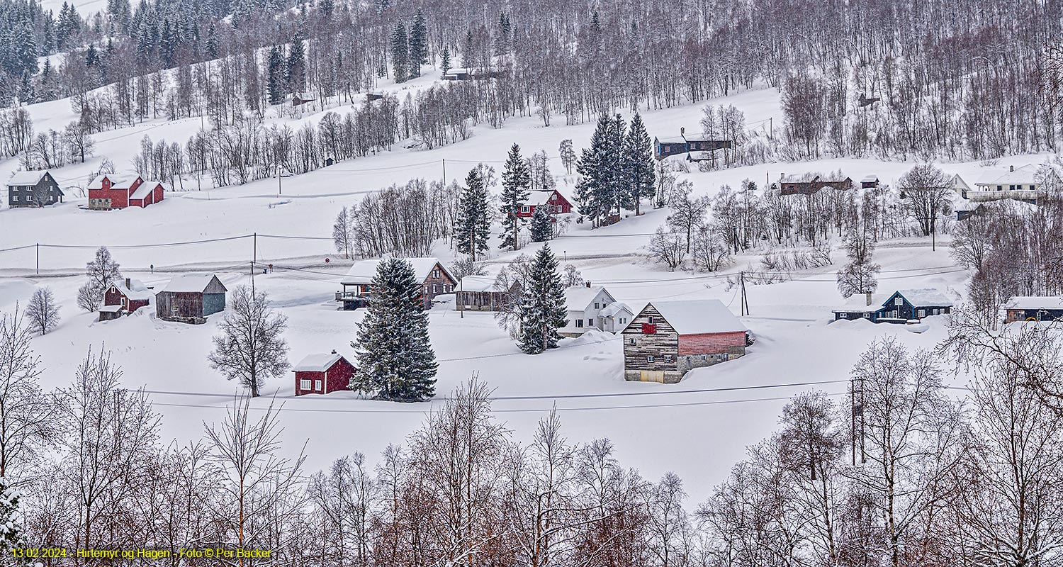 Hirtemyr og Hagen