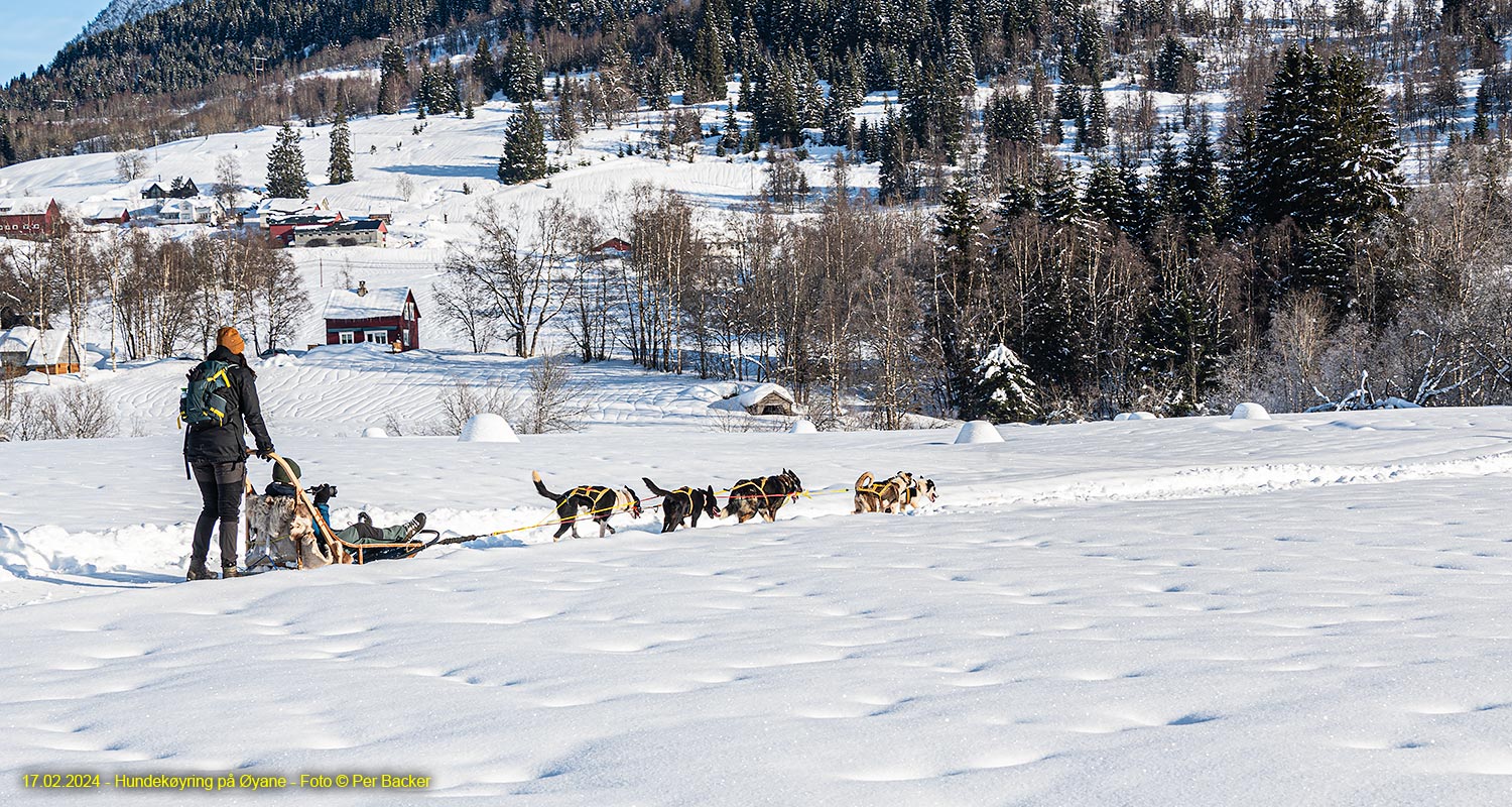 Hundekøyring på Øyane