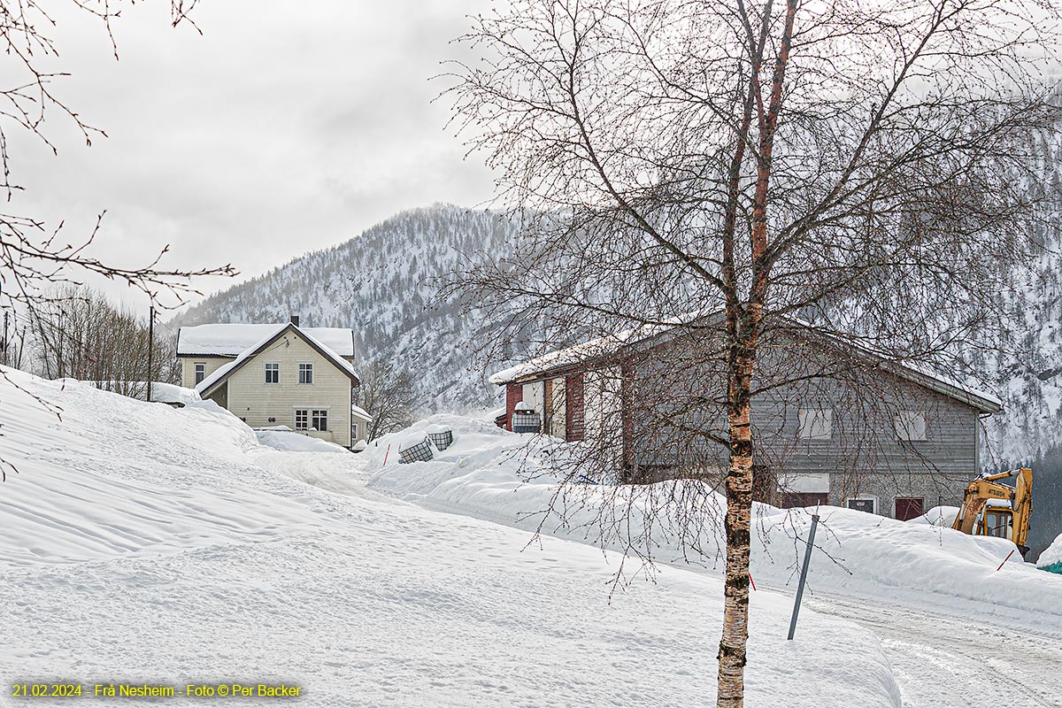 Frå Nesheim