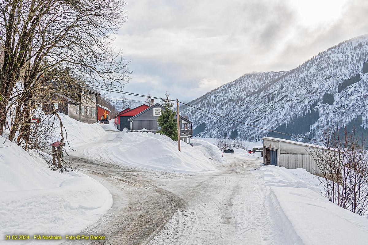 Frå Nesheim