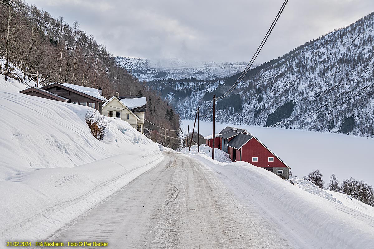 Frå Nesheim