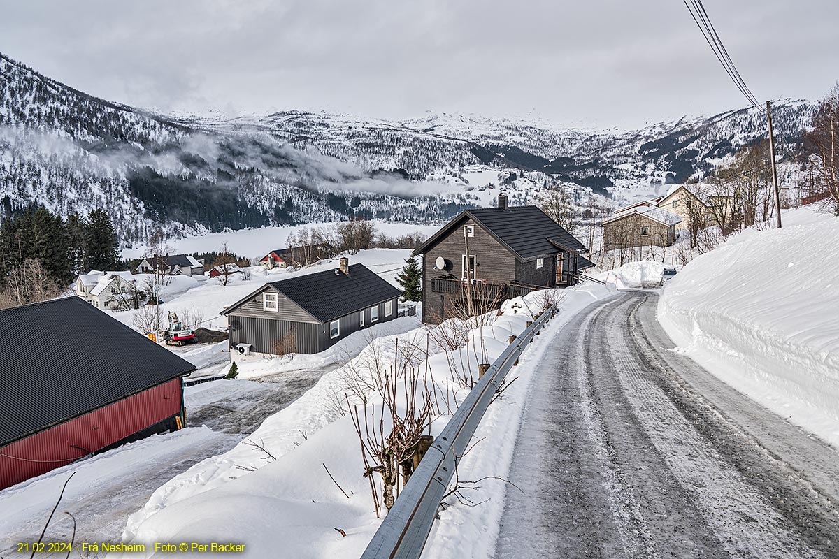 Frå Nesheimimage