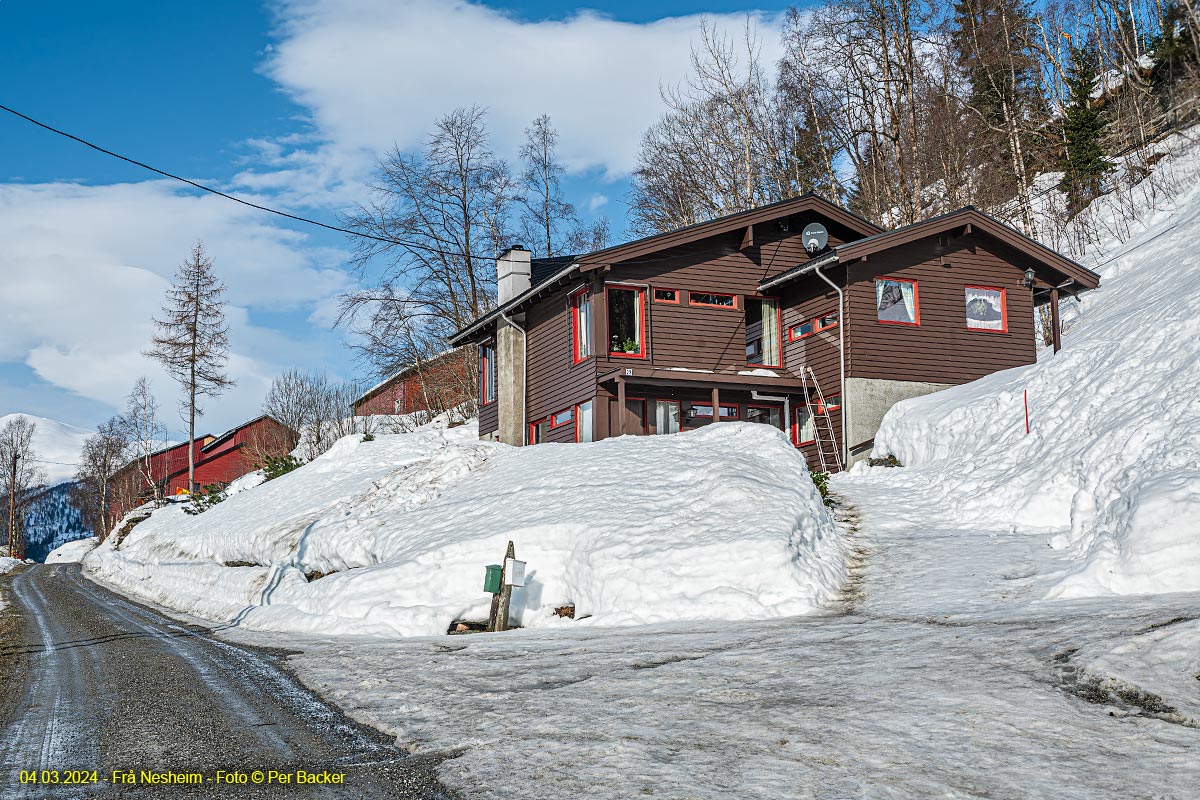 Frå Nesheim