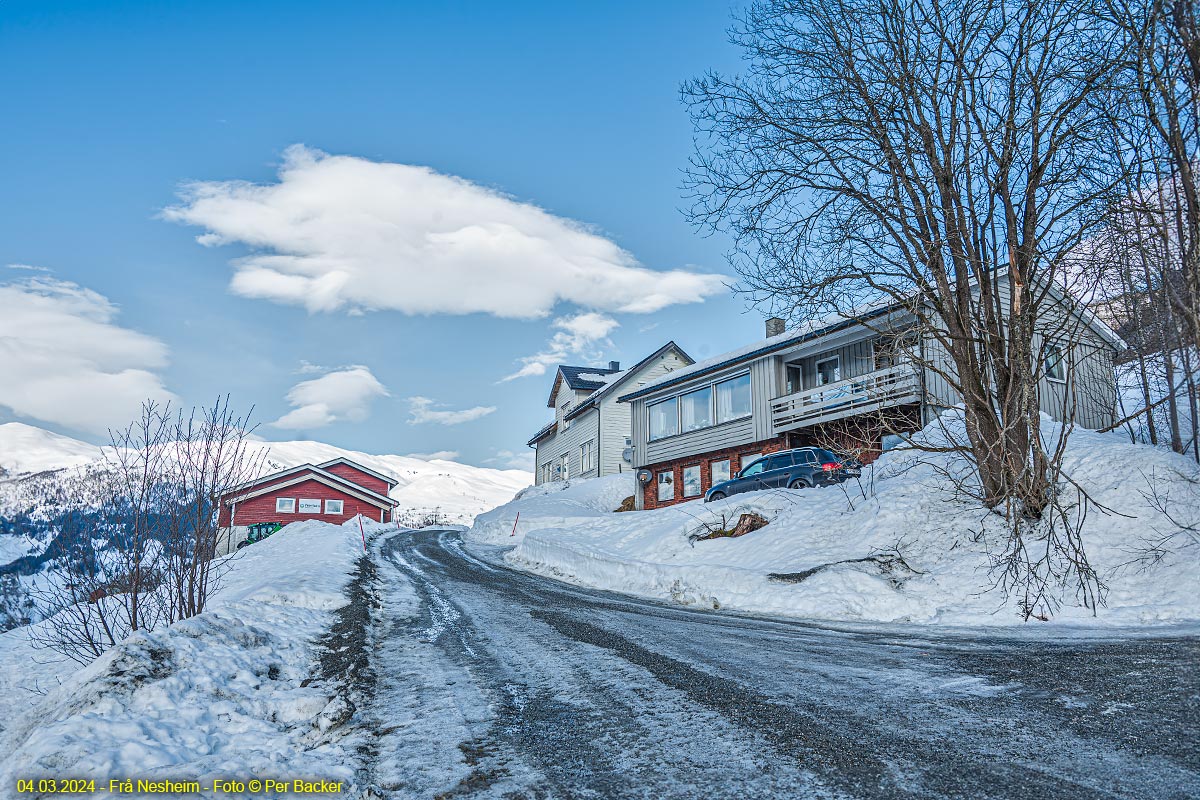 Frå Nesheim