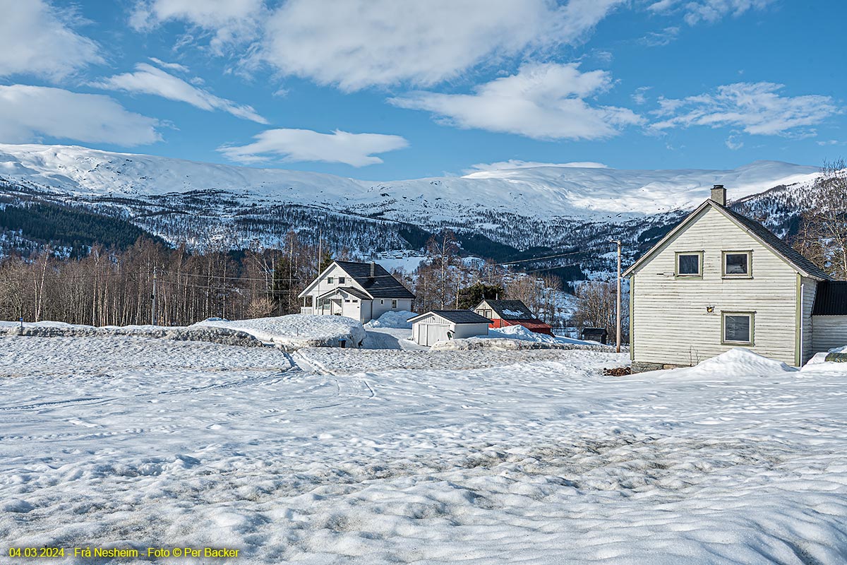 Frå Nesheim