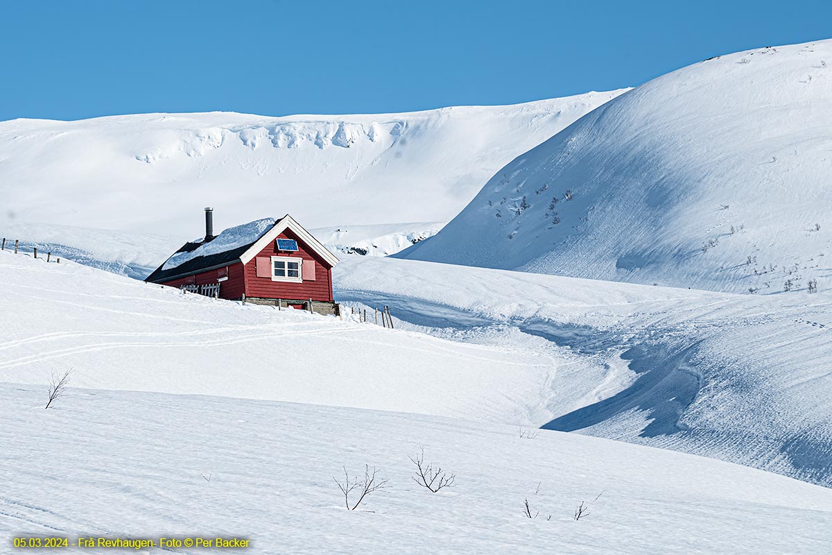 Frå Revhaugen