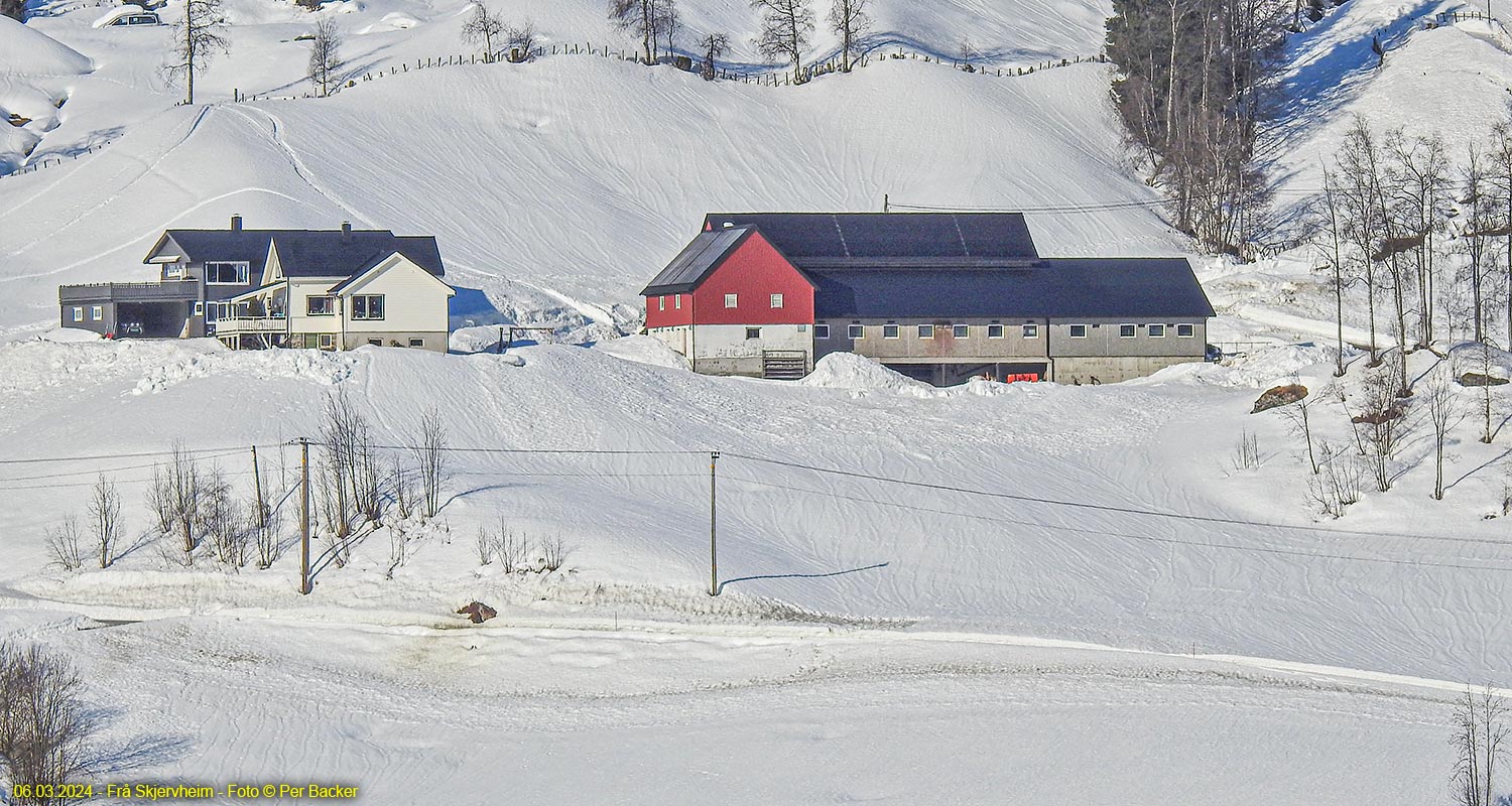 Frå Skjervheim