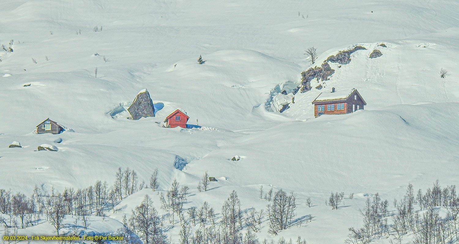 Frå Skjervheimsstølen