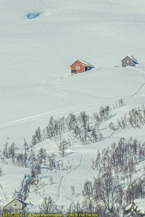 Frå Skjervheimsstølen