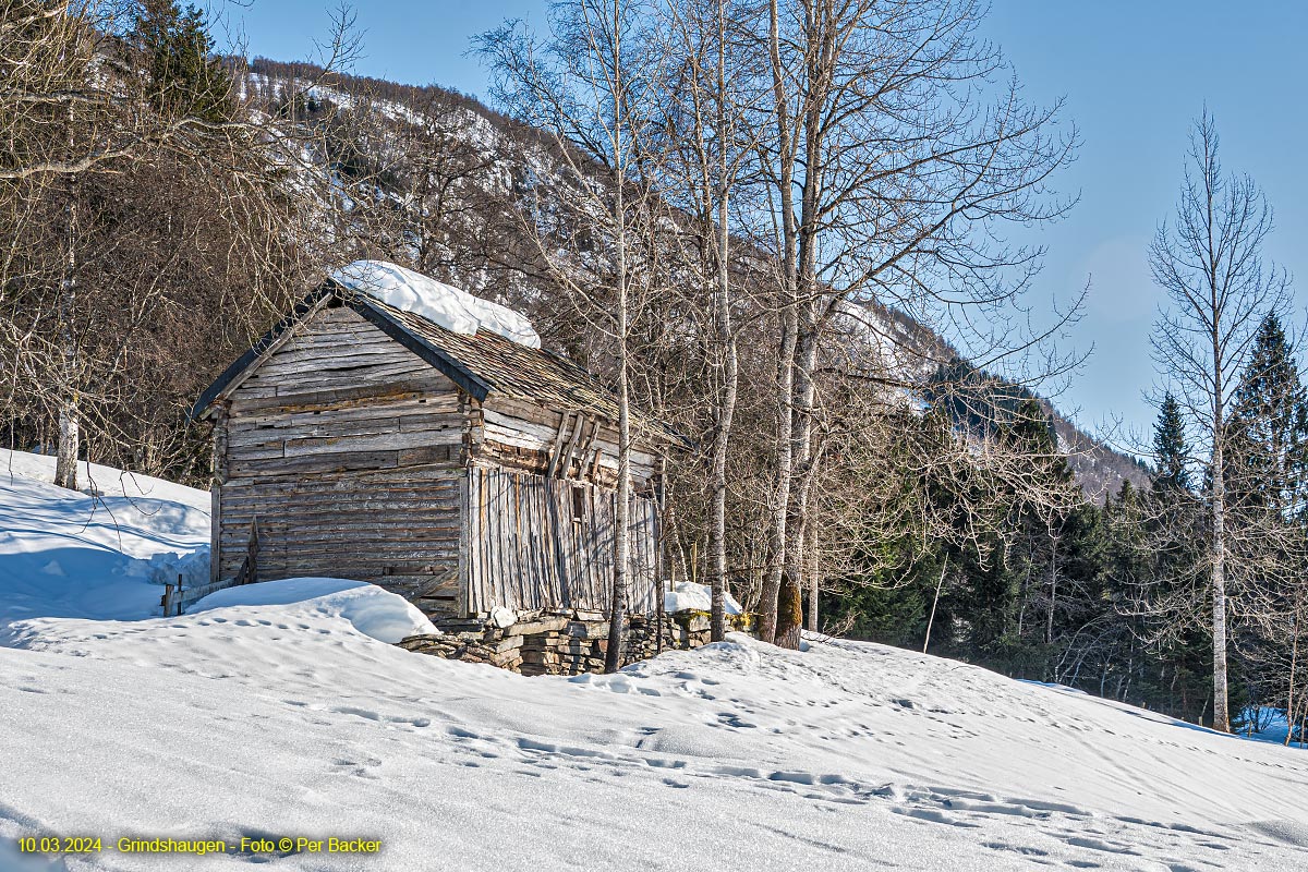 Grindshaugen