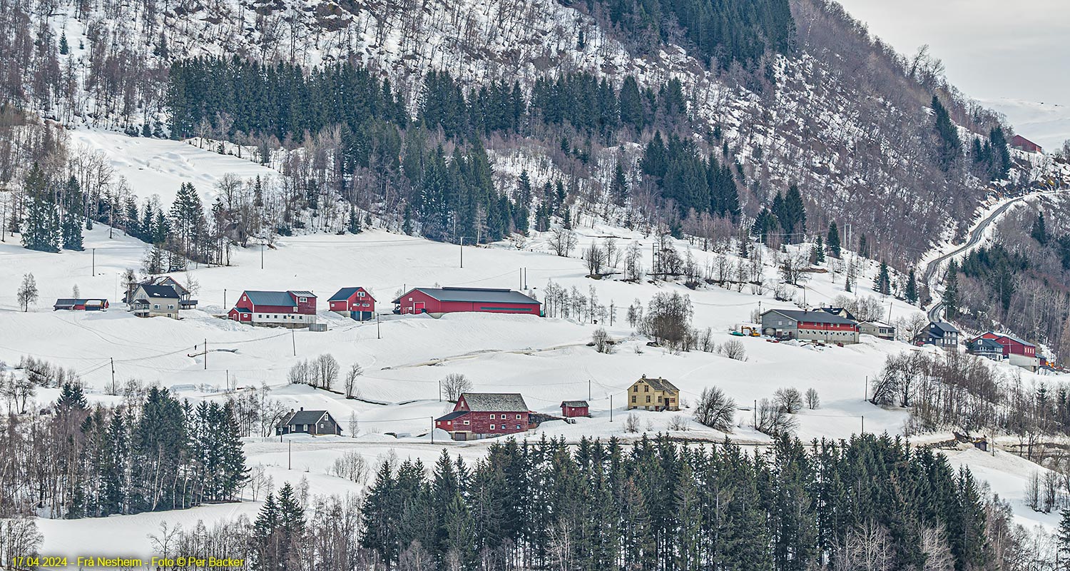 Frå Nesheim