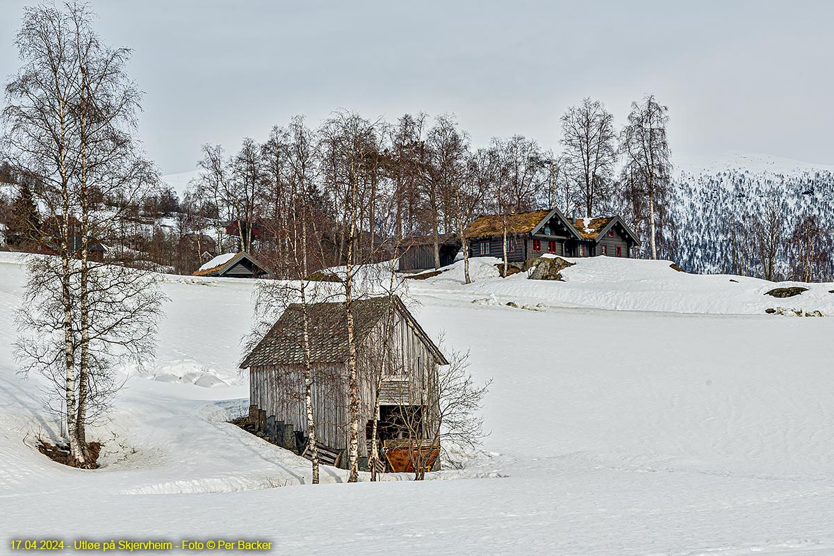 Utløe på Skjervheim