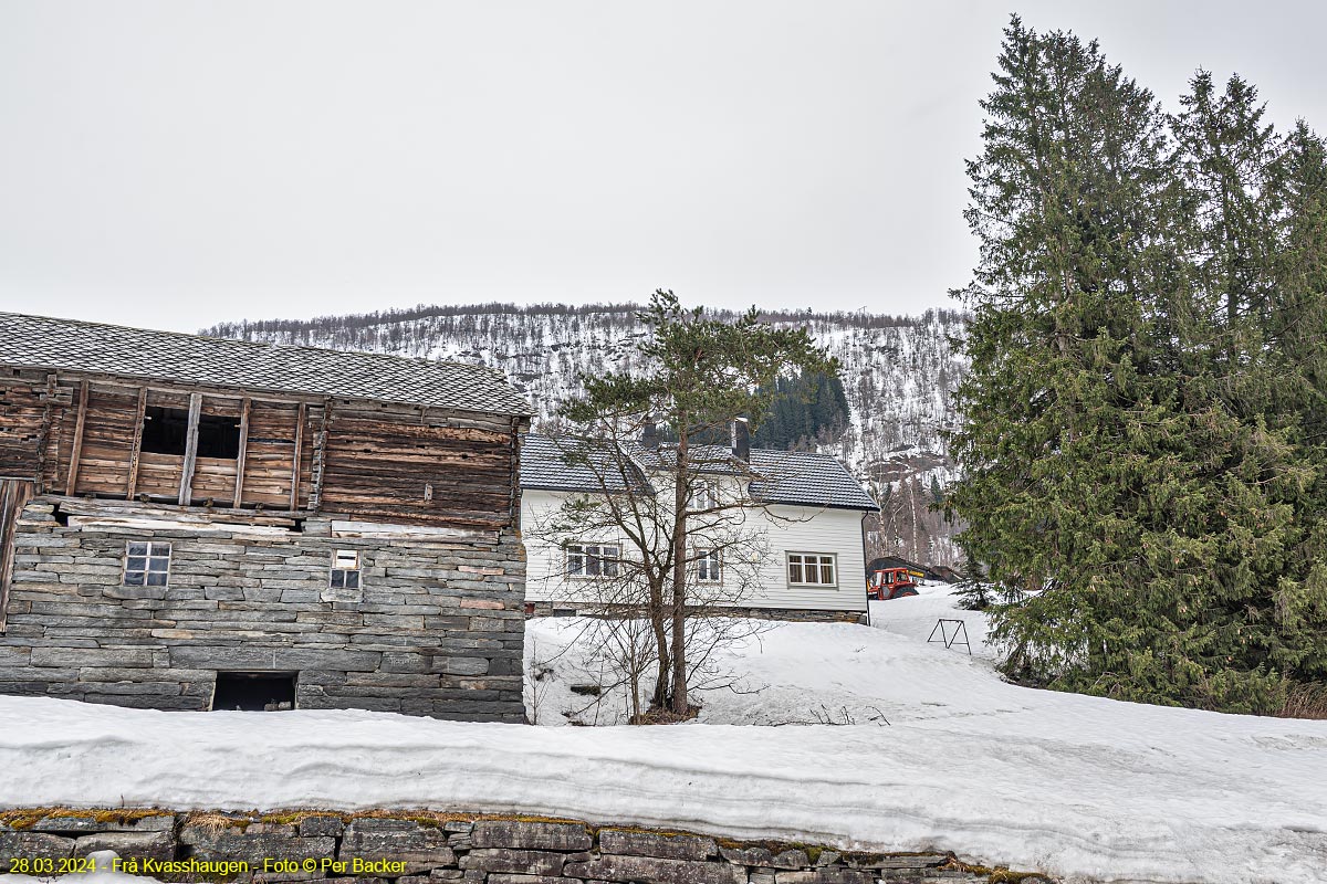 Frå Kvasshaugen