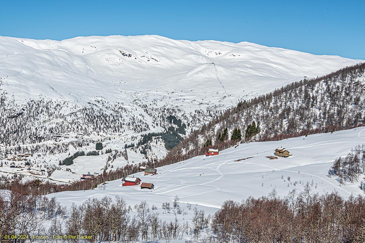 Frå Fossen