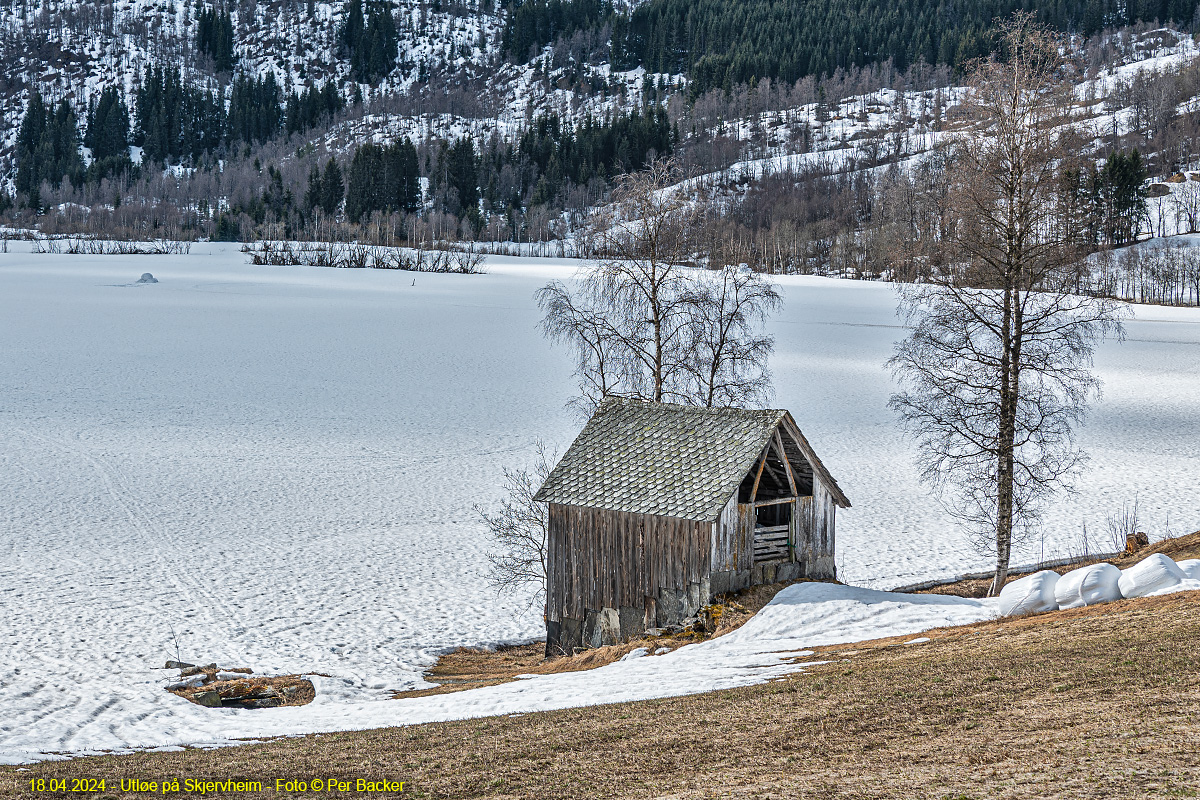 Utløe på Skjervheim