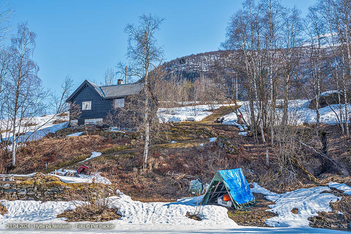 Hytte på Nesheim