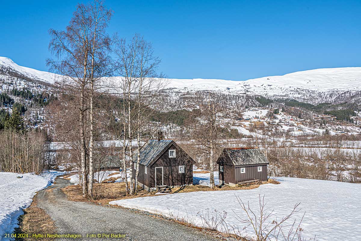 Hytte i Nesheimshagen