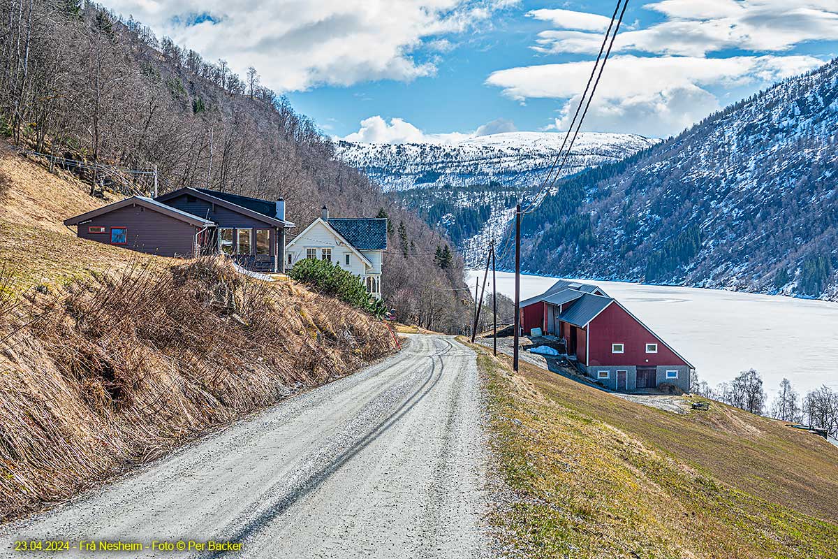 Frå Nesheim