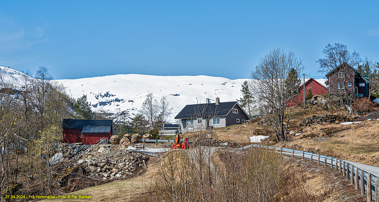 Frå Hommedal