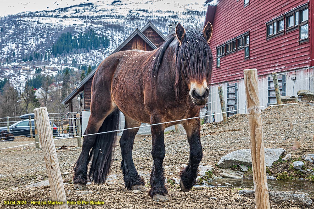 Frå Geitasteinane