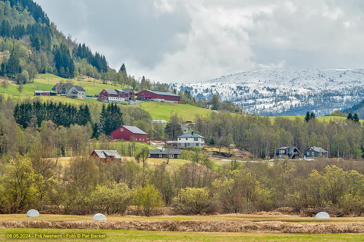 Frå Nesheim