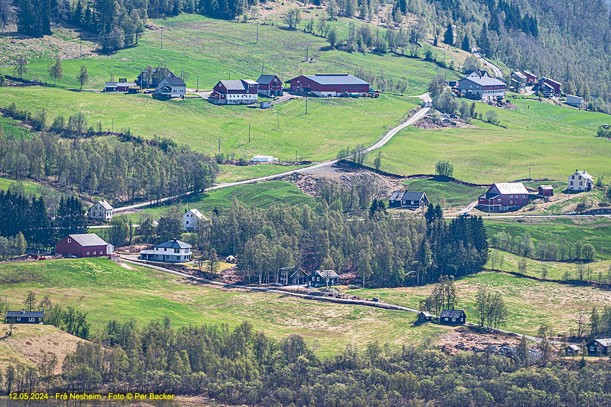 Frå Nesheim