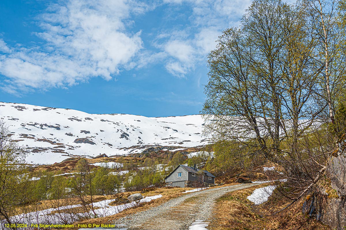 Frå Skjervheimstølen