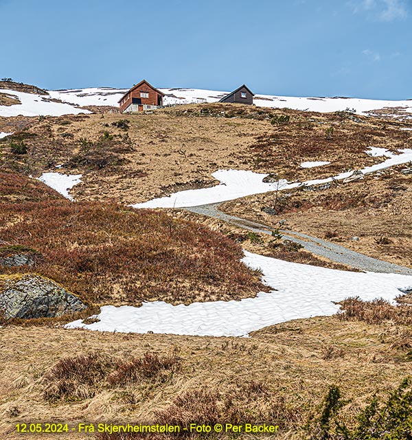 Frå Skjervheimstølen