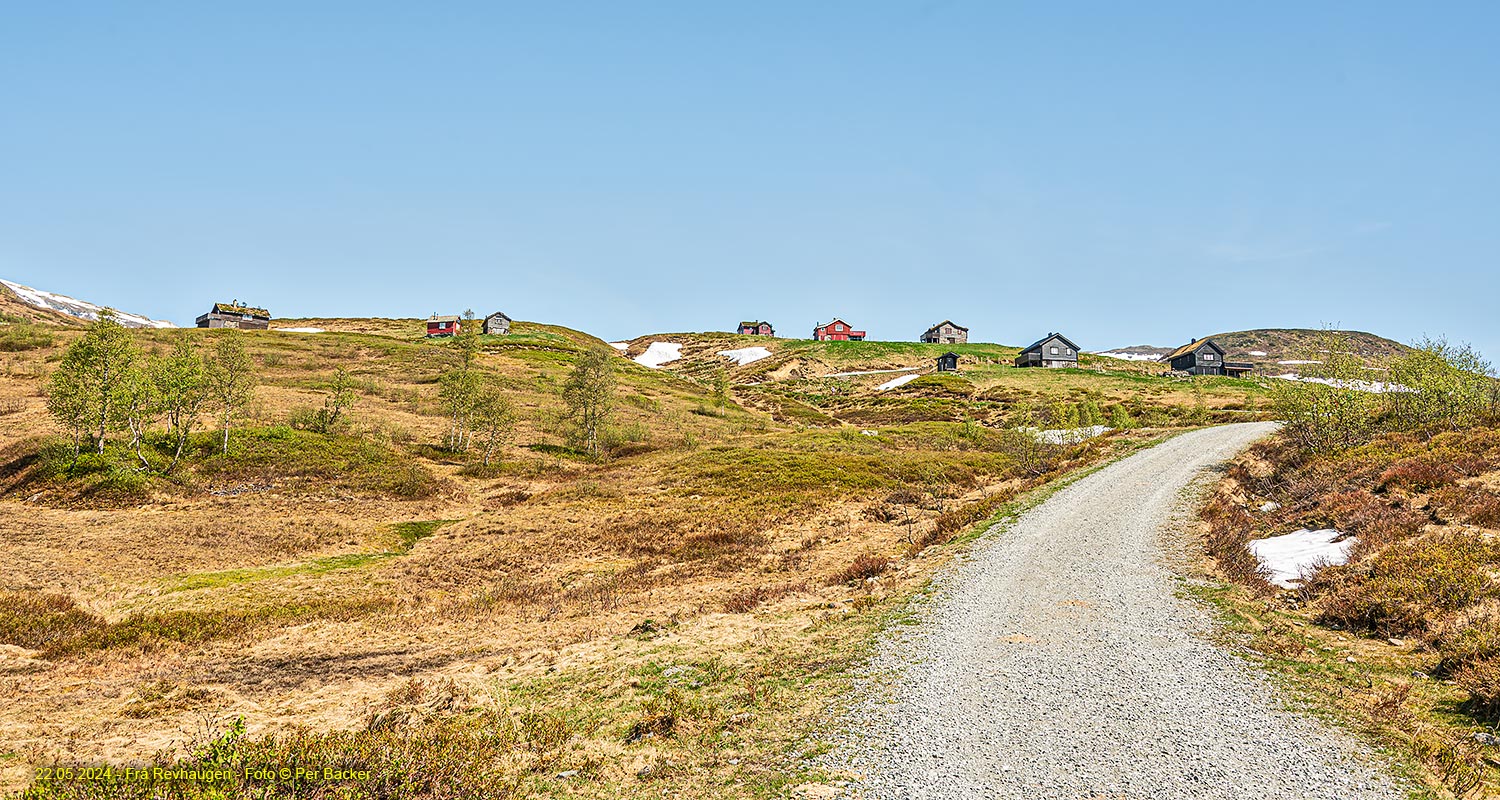 Frå Revhaugen