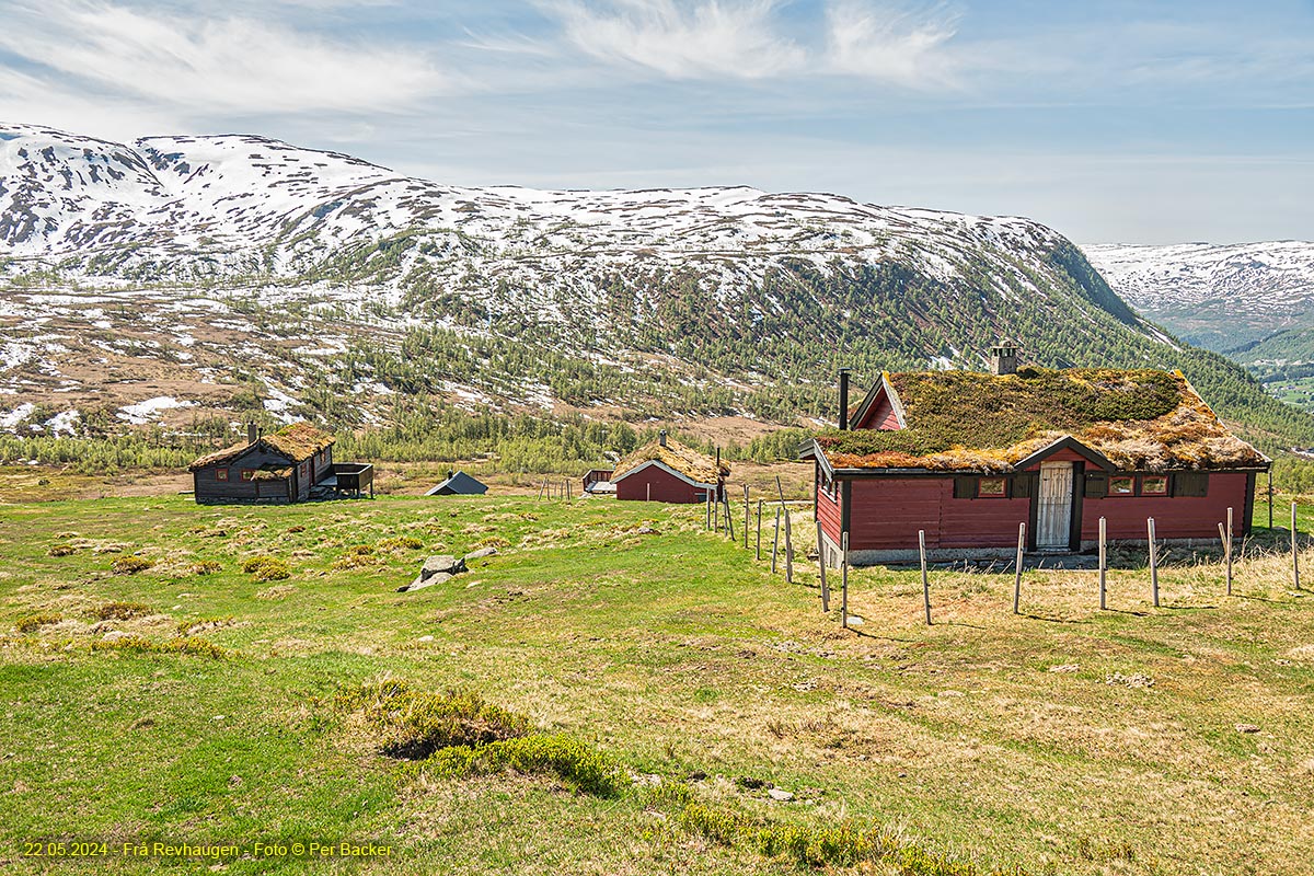 Frå Revhaugen