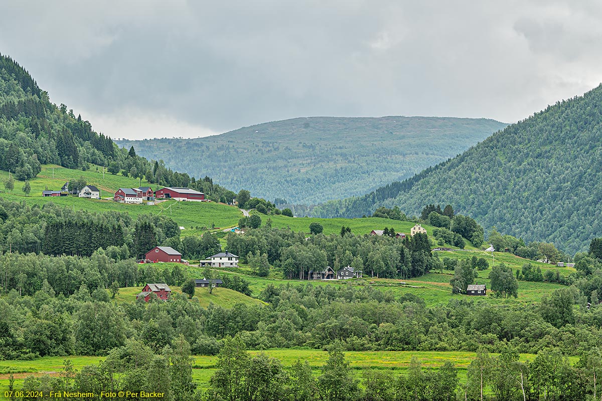 Frå Nesheim