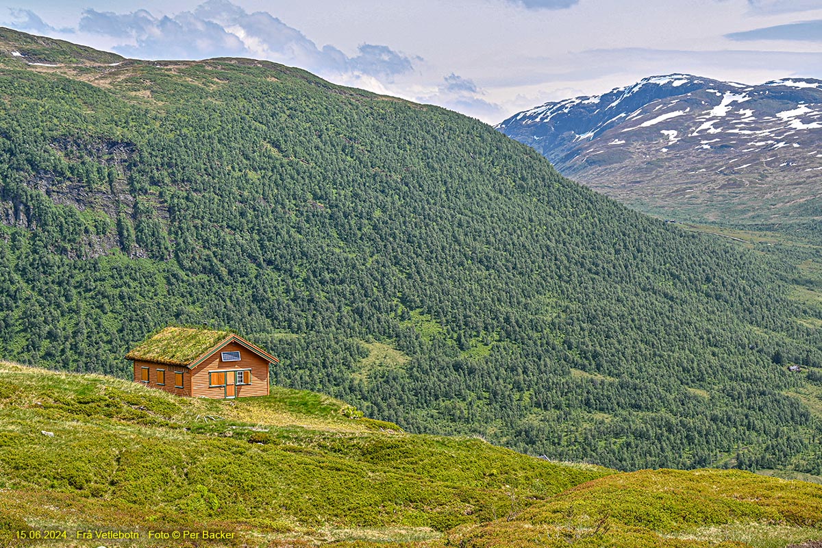 Frå Vetlebotn