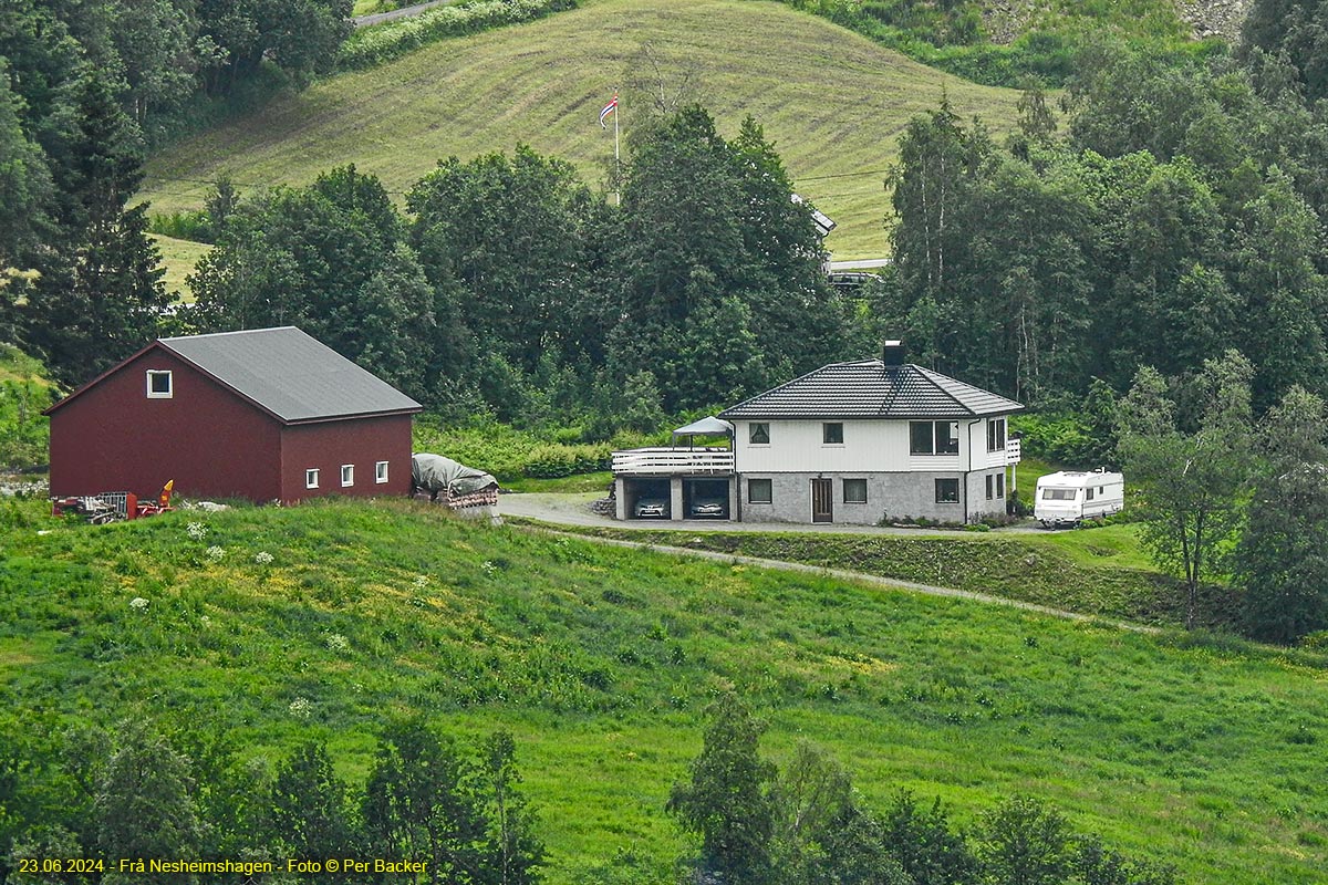 Frå Nesheimshagen